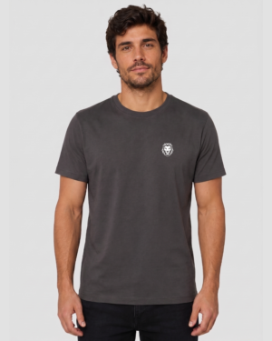 Camiseta Masculina Básica 100% Algodão Chumbo